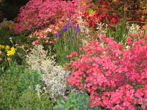 Last Year's Philadelphia Flower Show