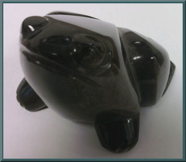 Caridad's Frog