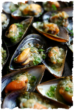 mussel.jpg