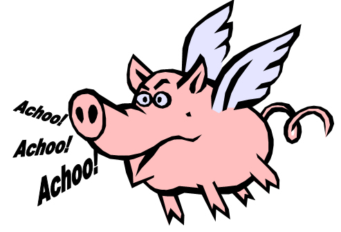 pig