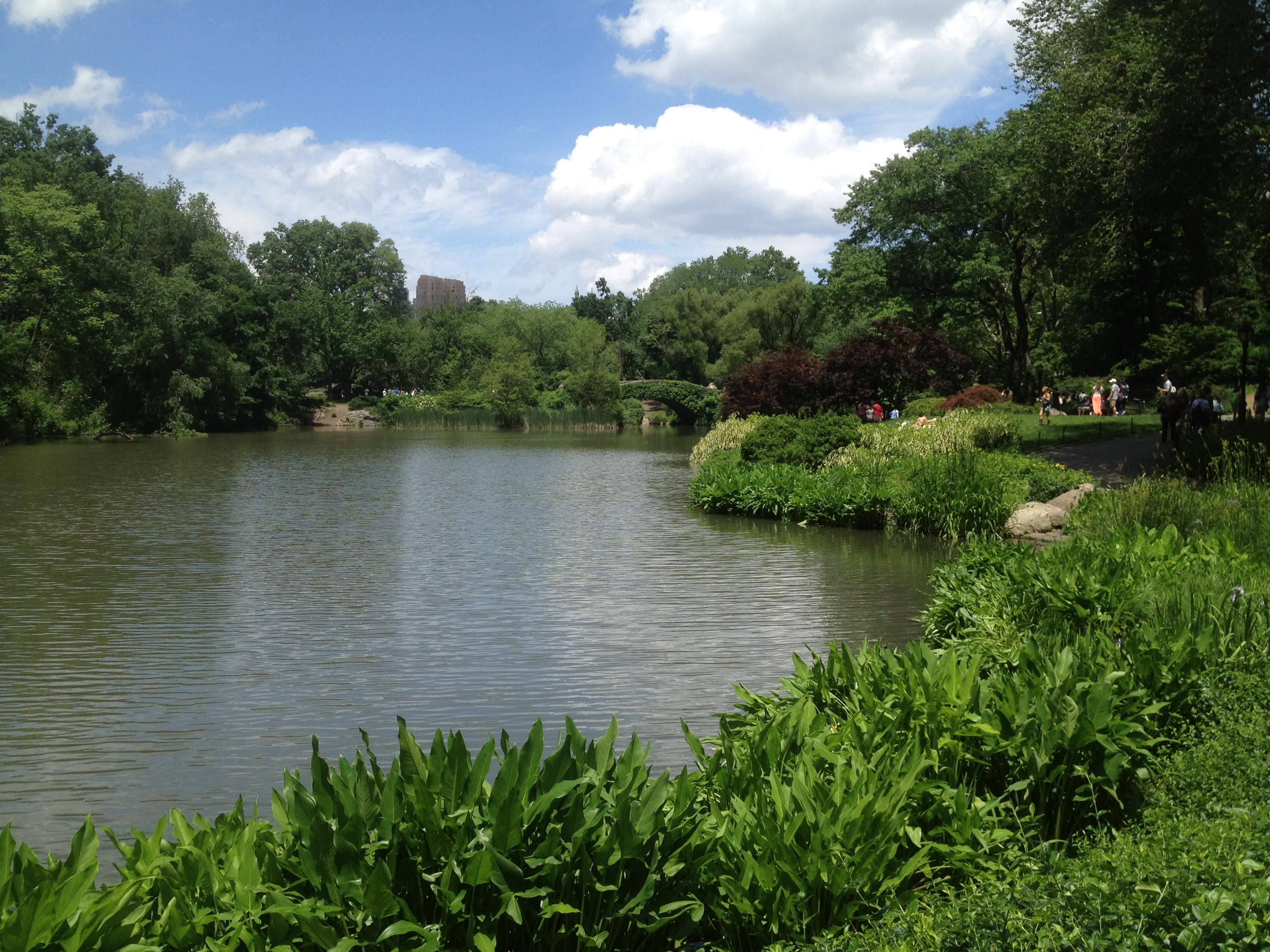 Central Park Turtle Pond