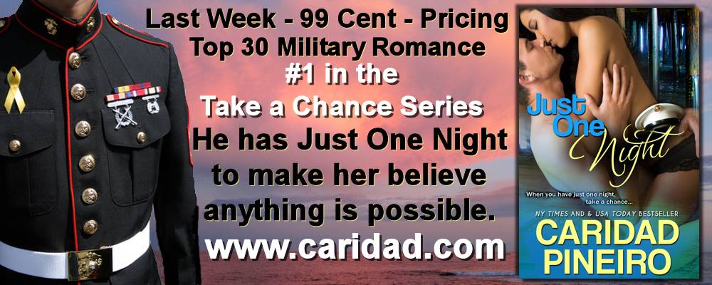 Just One Night Erotic Military Romance