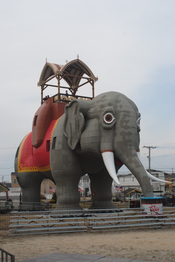 lucytheelephant