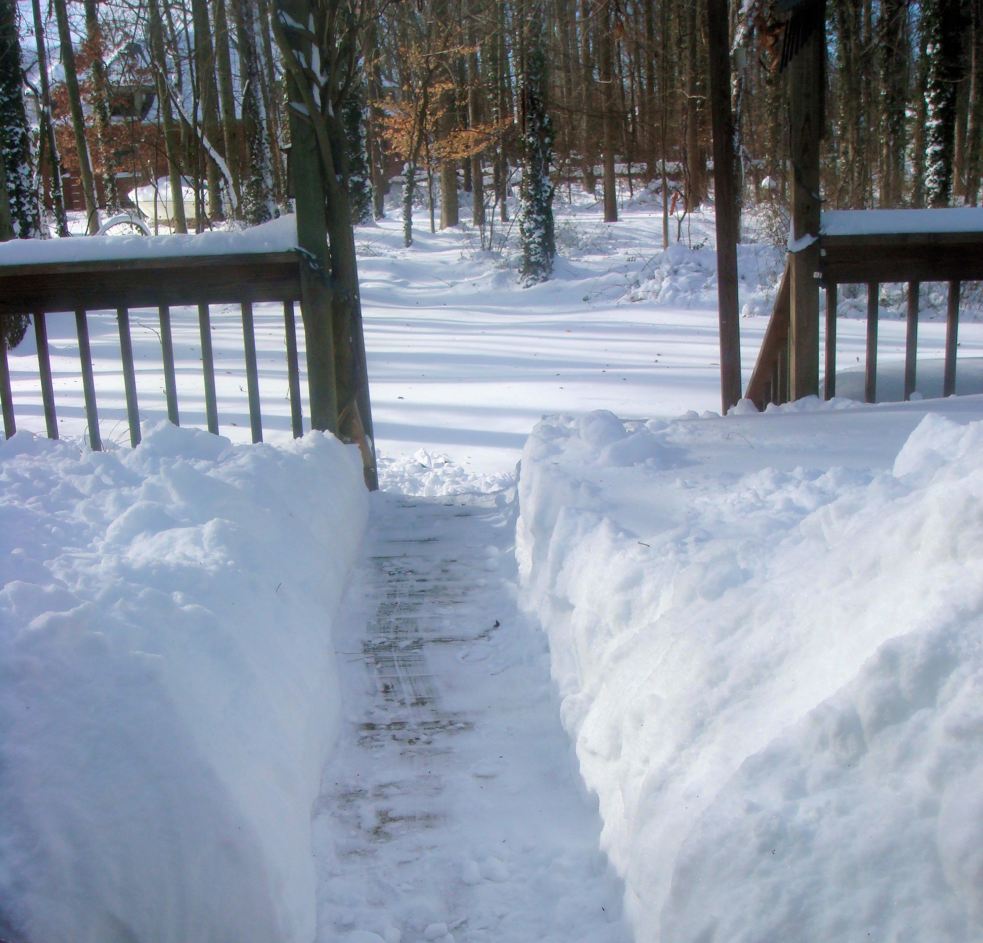 2010 Blizzard New Jersey