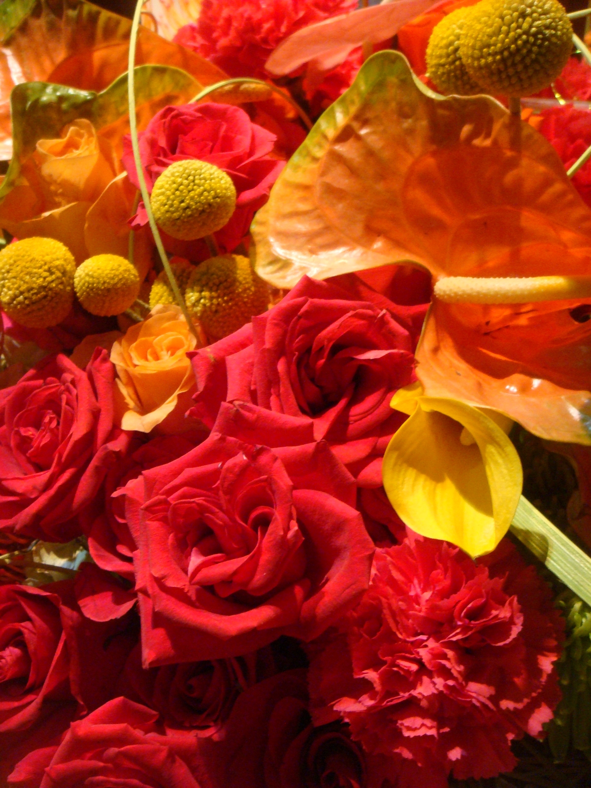 Philadelphia Flower Show