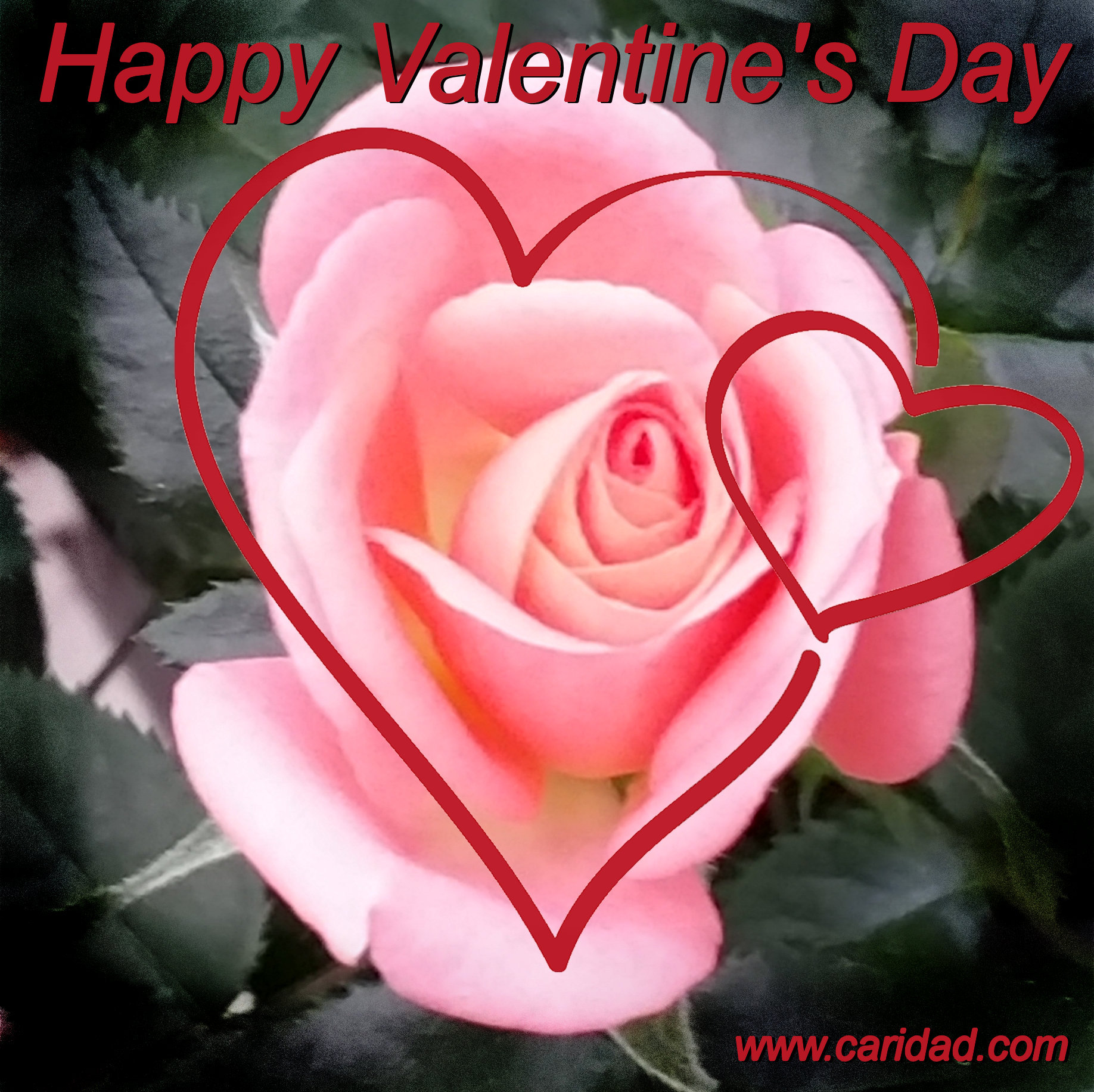 Valentine's Day 2017