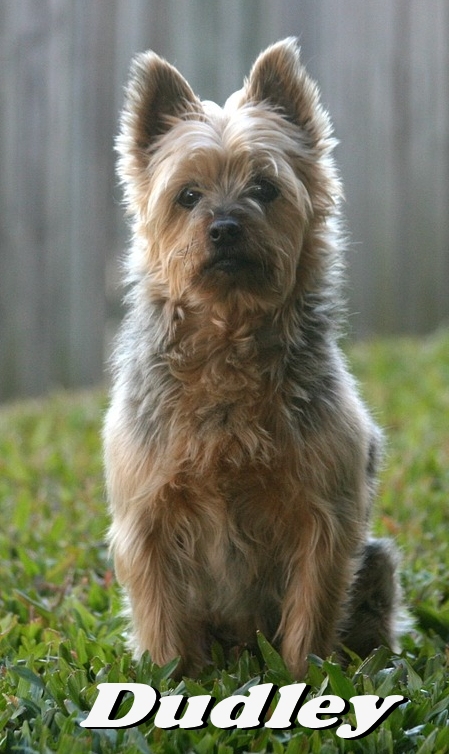 dudley