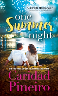 Sourcebooks Casablanca One Summer Night Contemporary Romance