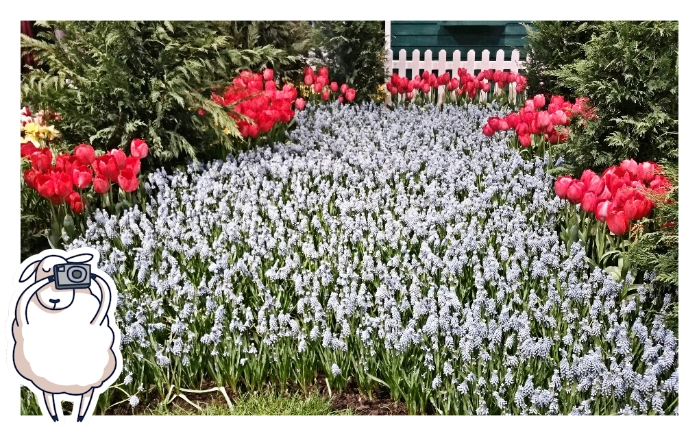 Philadelphia Flower Show