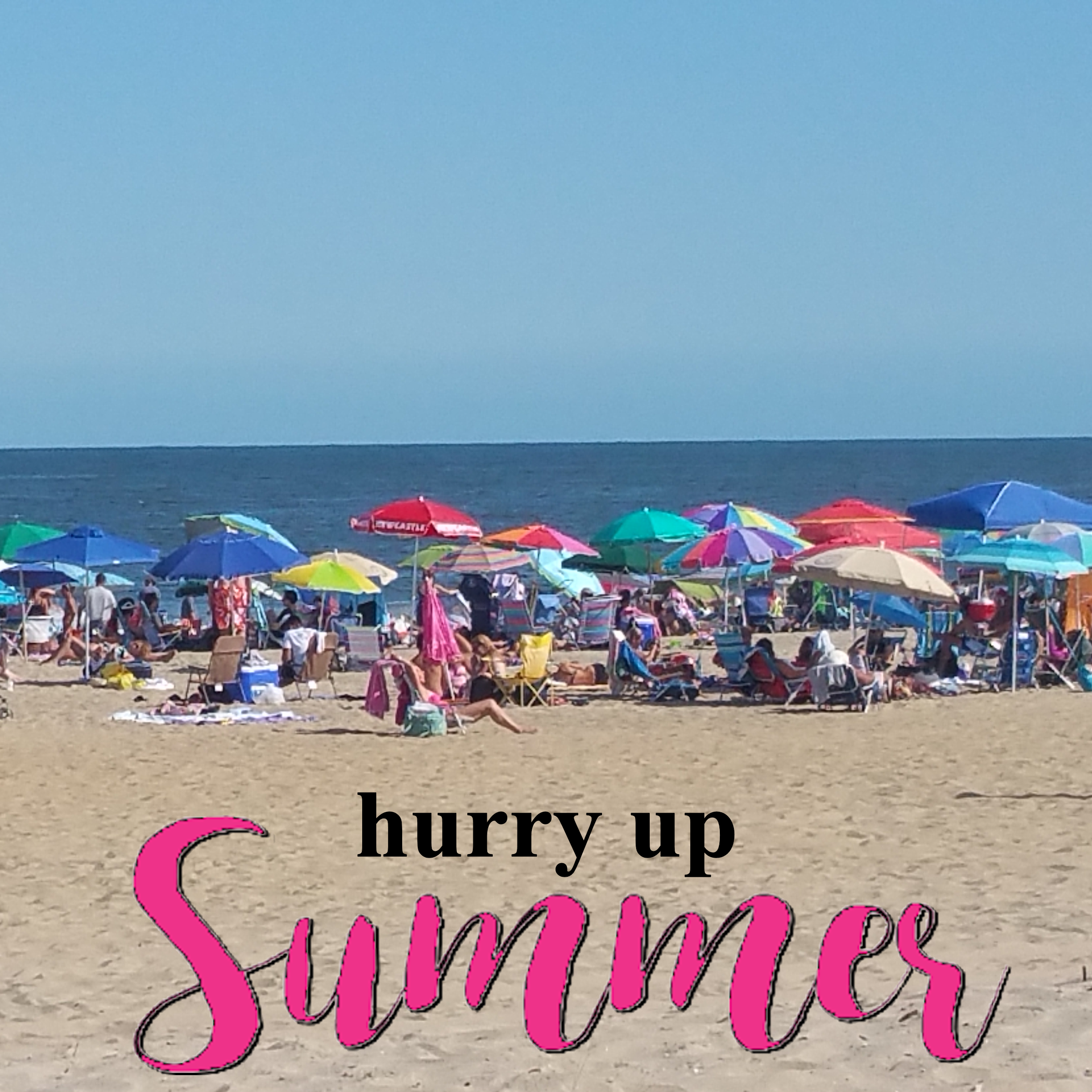 Jersey Shore Summer