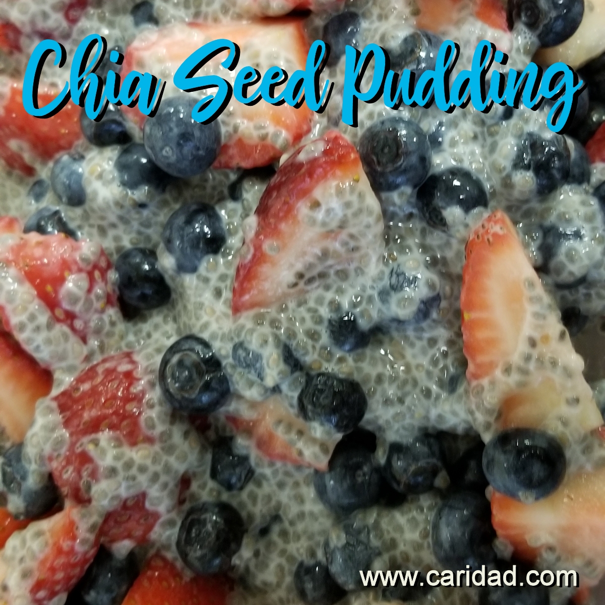 Chia Seed Pudding Recipes