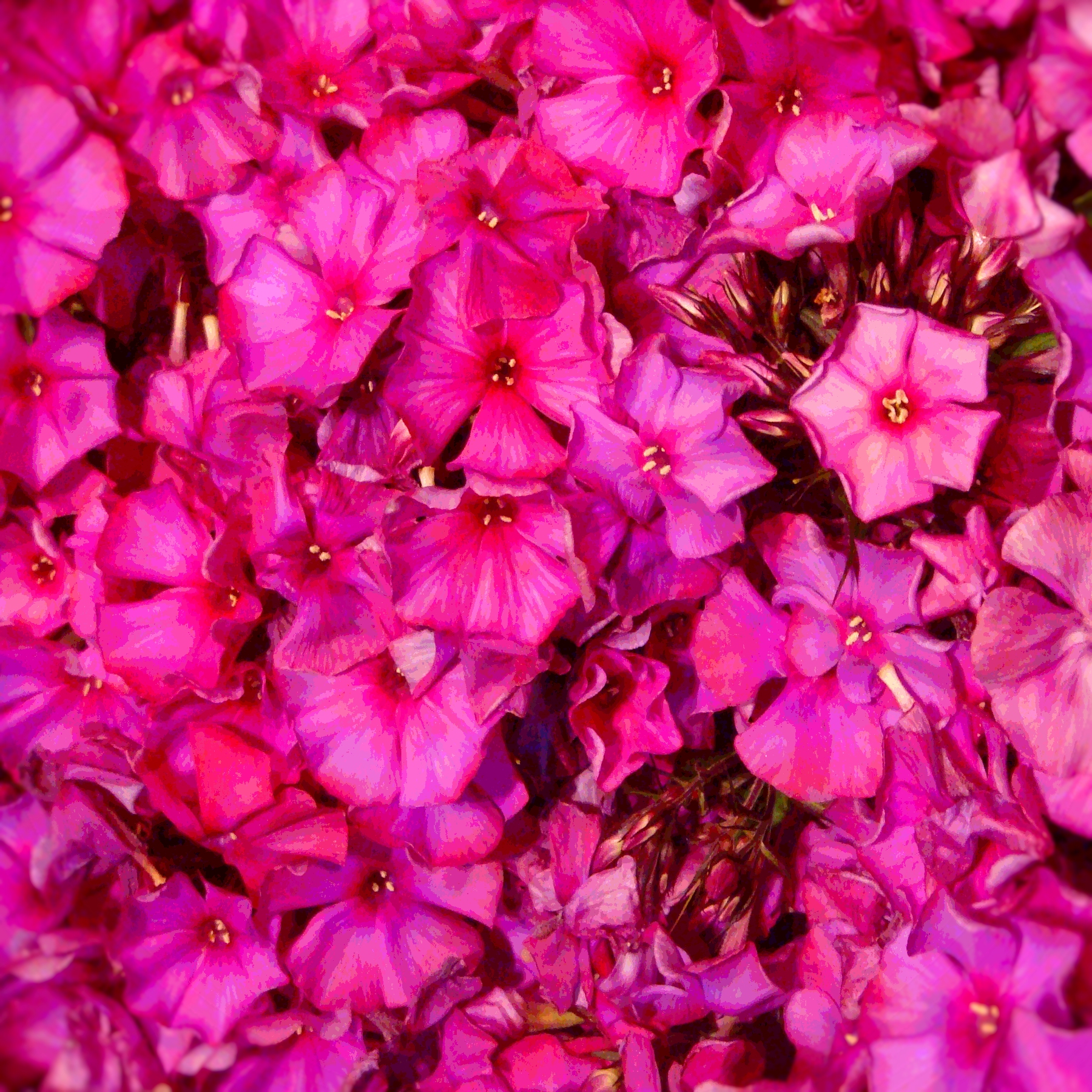 April showers bring May flowers