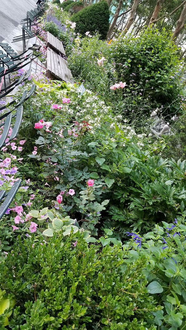 Bryant Park Gardens