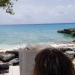 My Reading Assignment