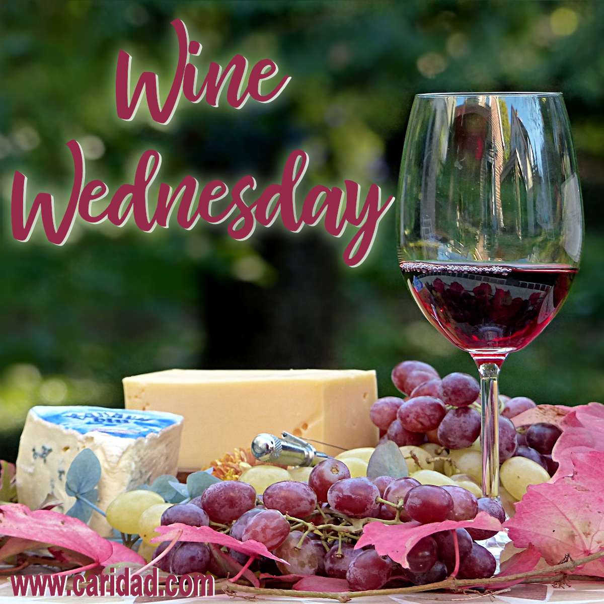 best wines under $10