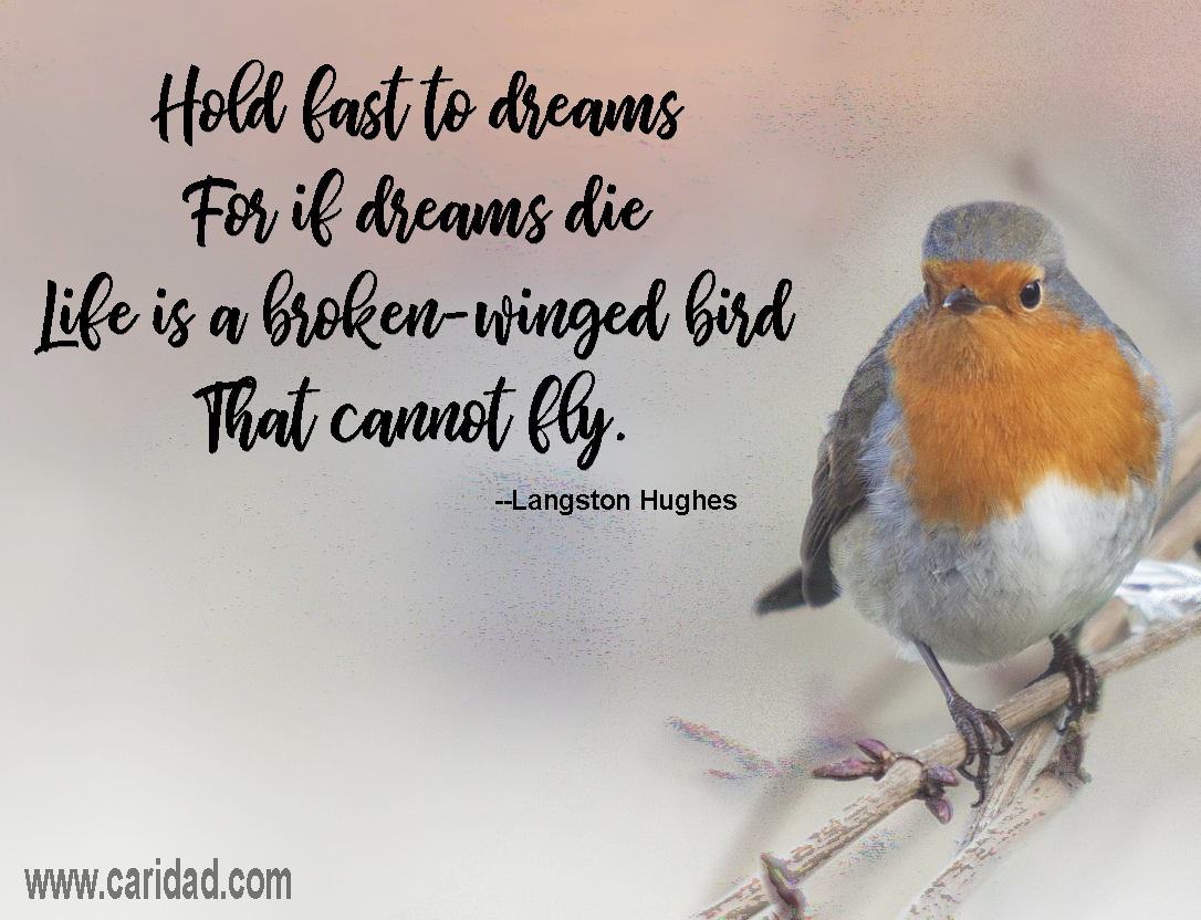Hold fast to dreams