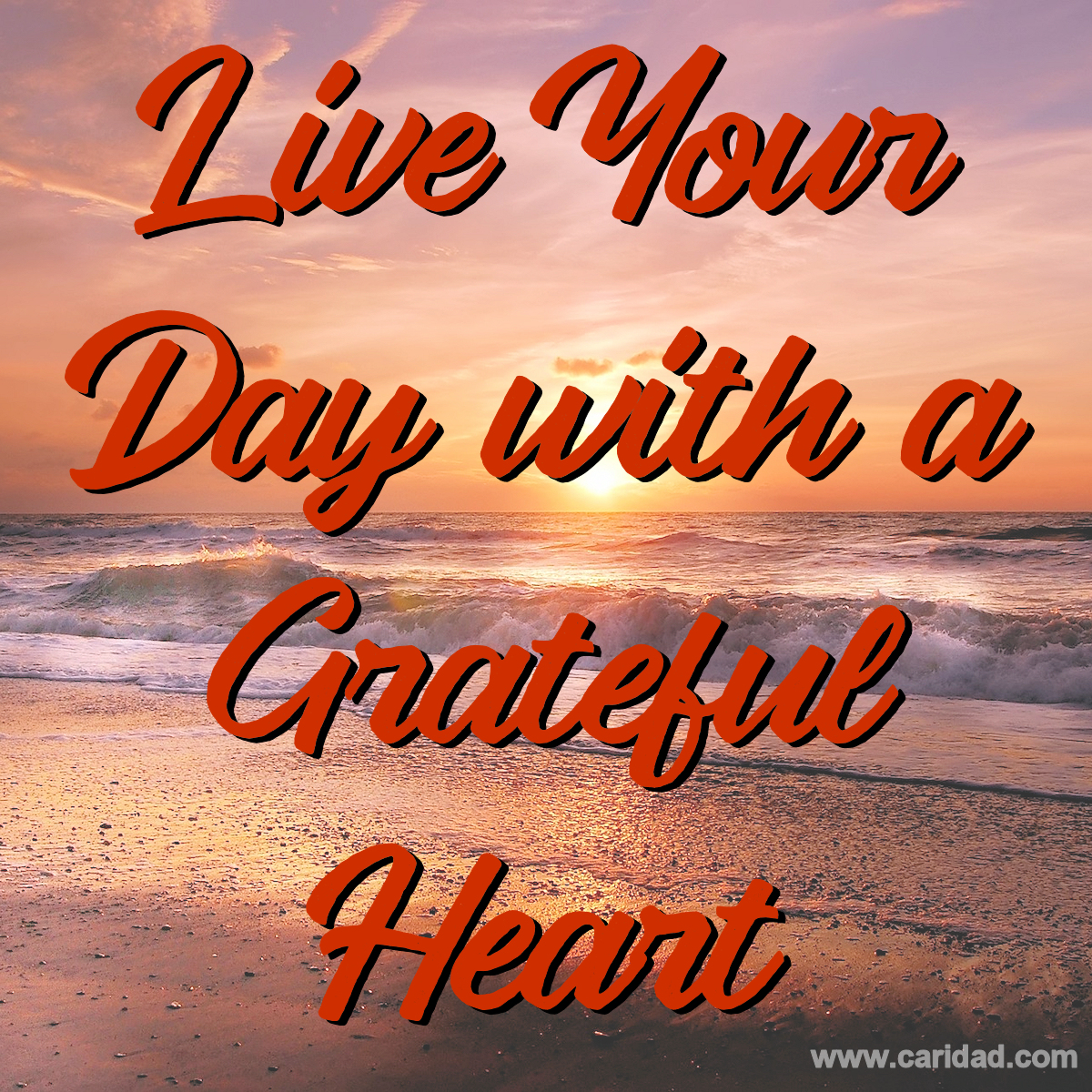 Live your day with a grateful heart