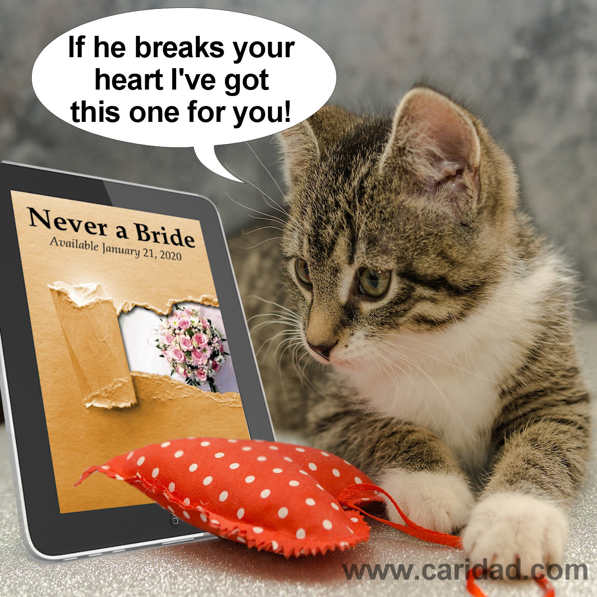 Never a Bride Contemporary Romance set on the Jersey Shore