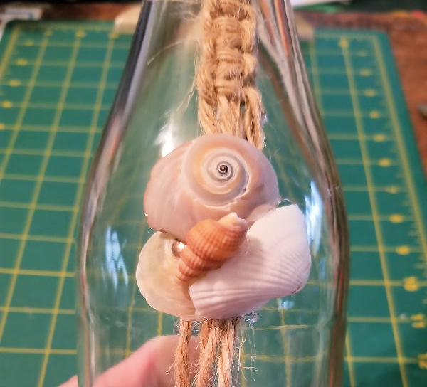 seashells