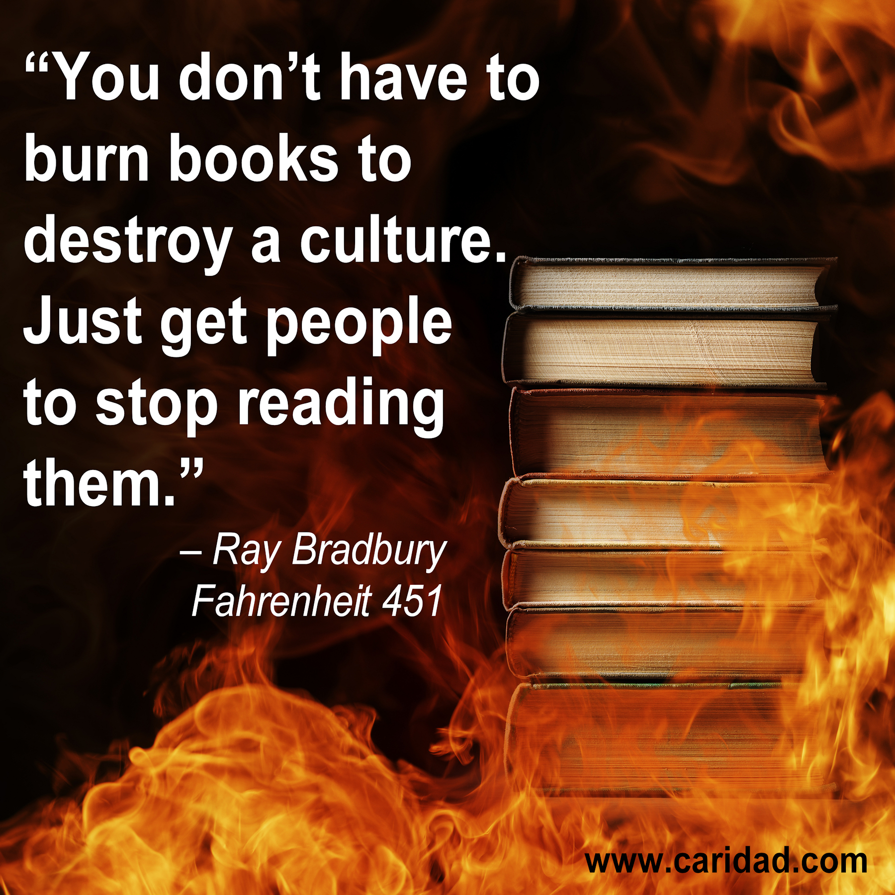 book burning fake news