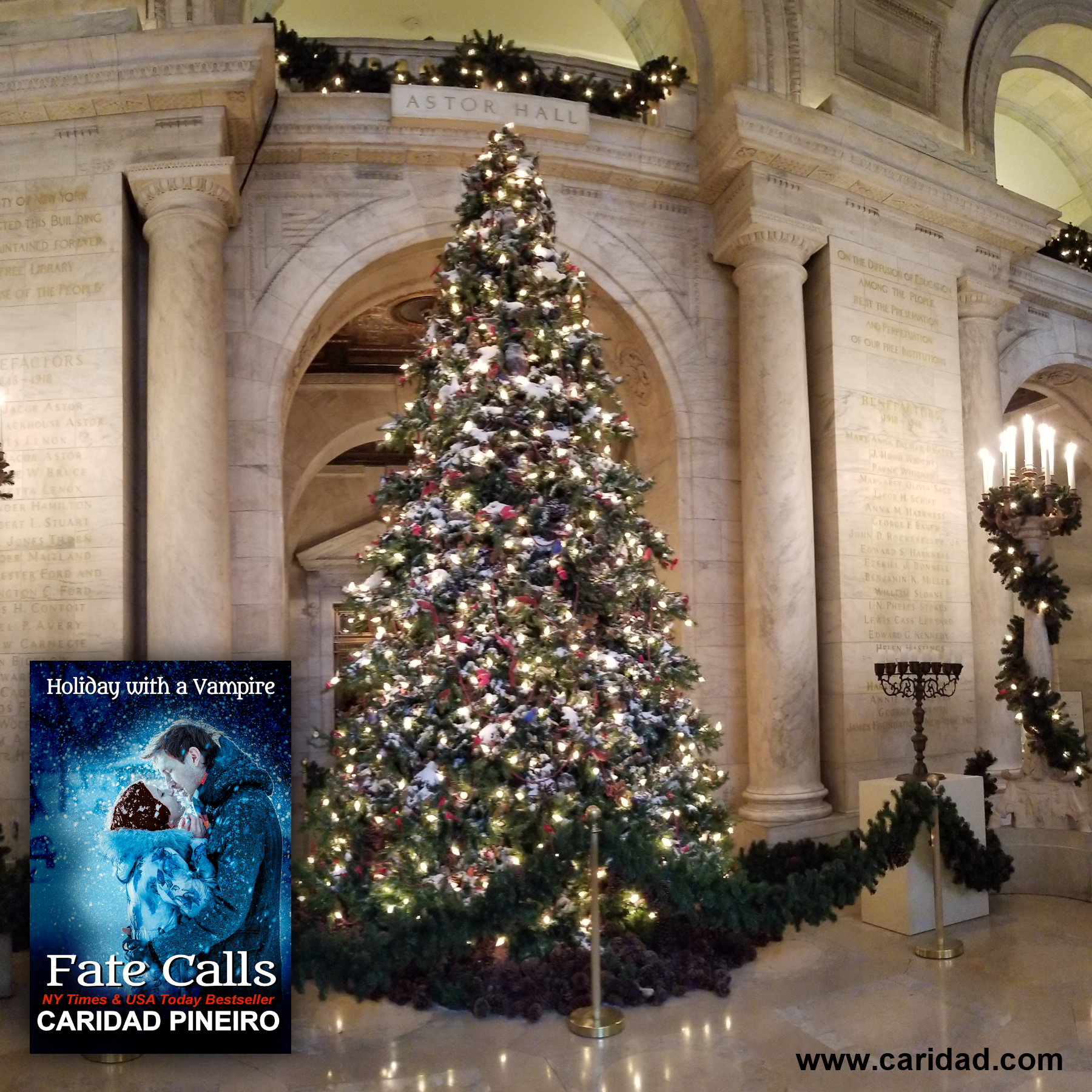 Holiday with a Vampire Fate Calls