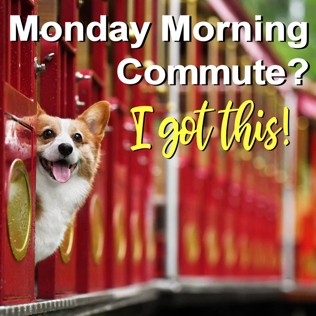 monday morning commute