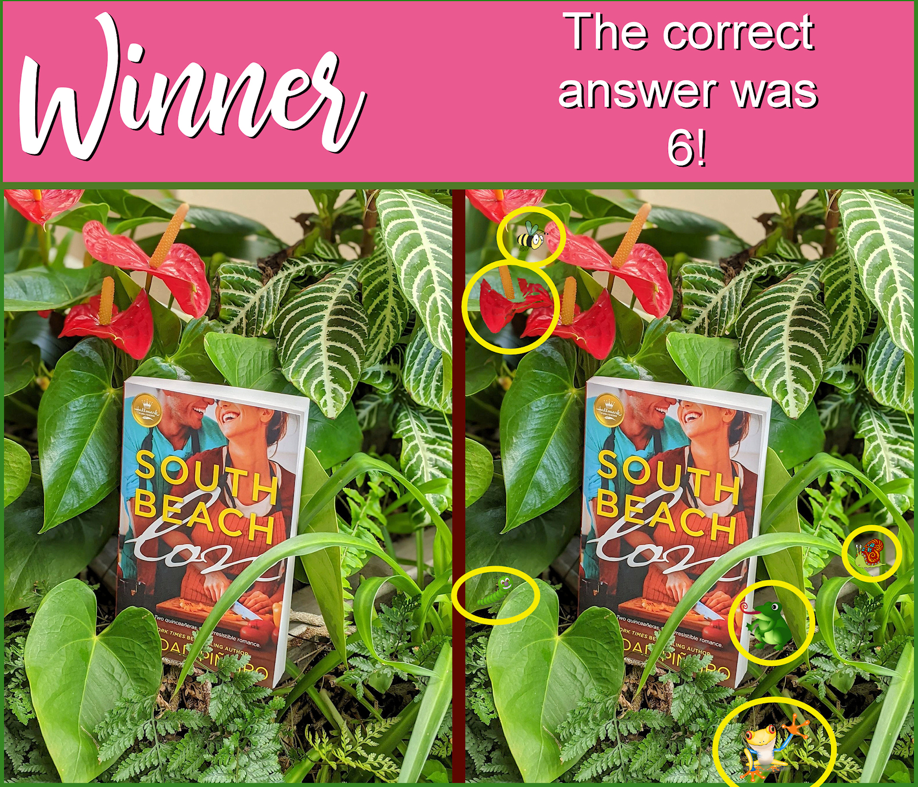 Caridad giveaway winner