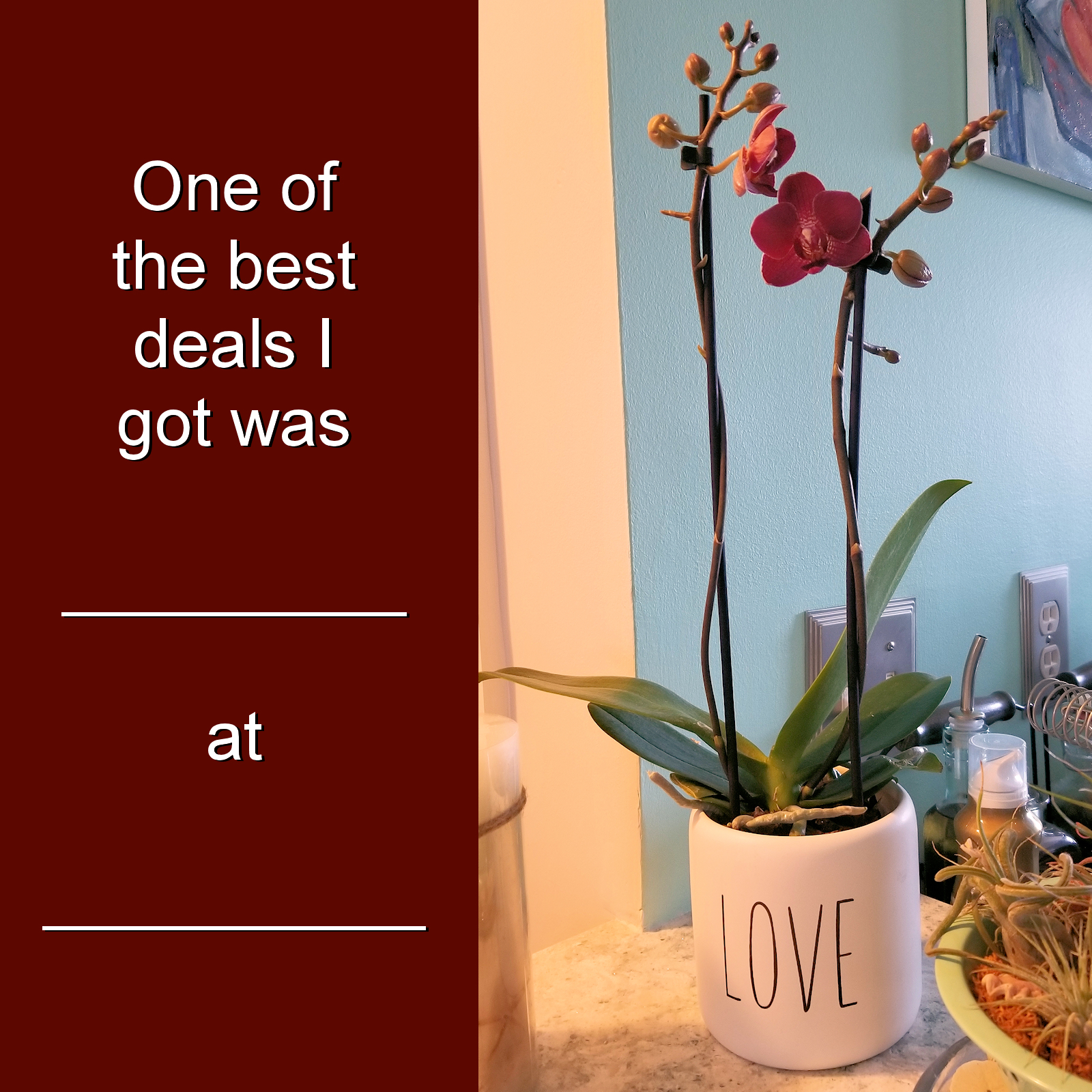 caridad's deal