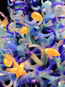 seattle chihuly