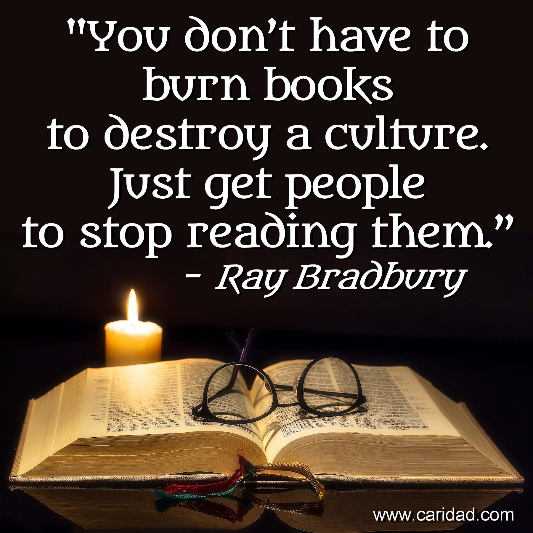 Caridad Ray Bradbury burn books
