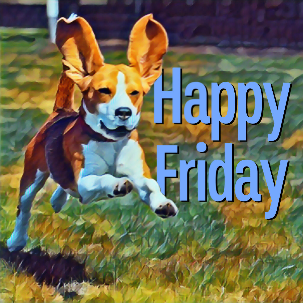 Caridad Beagle Pup