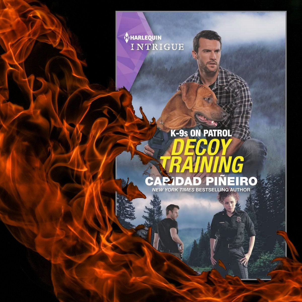 Decoy training romantic suspense
