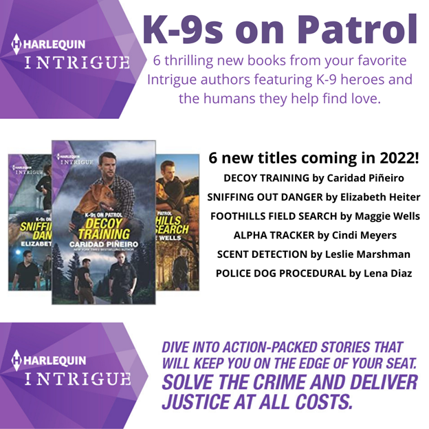 Caridad romantic suspense series
