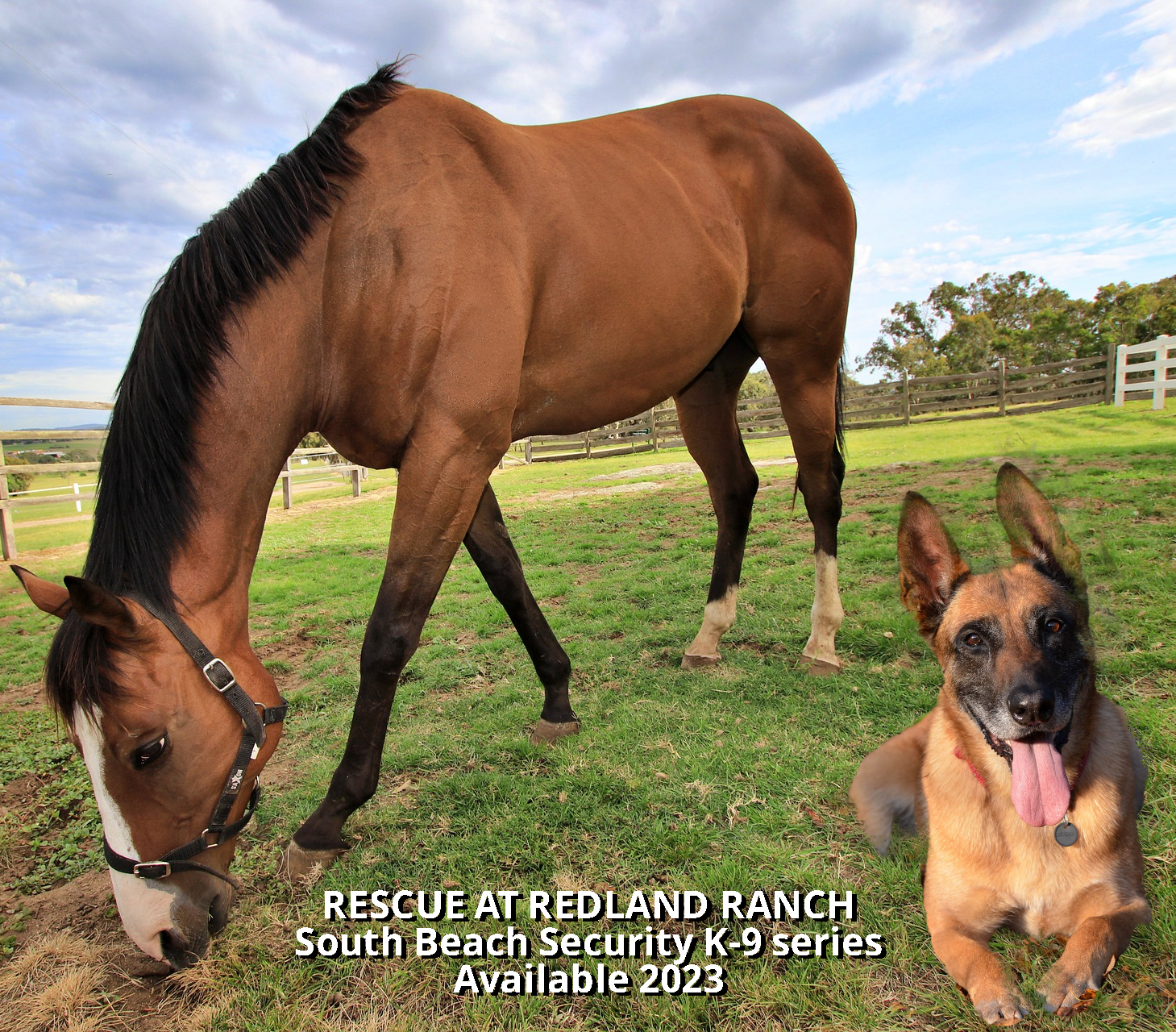 K-9 romance novel