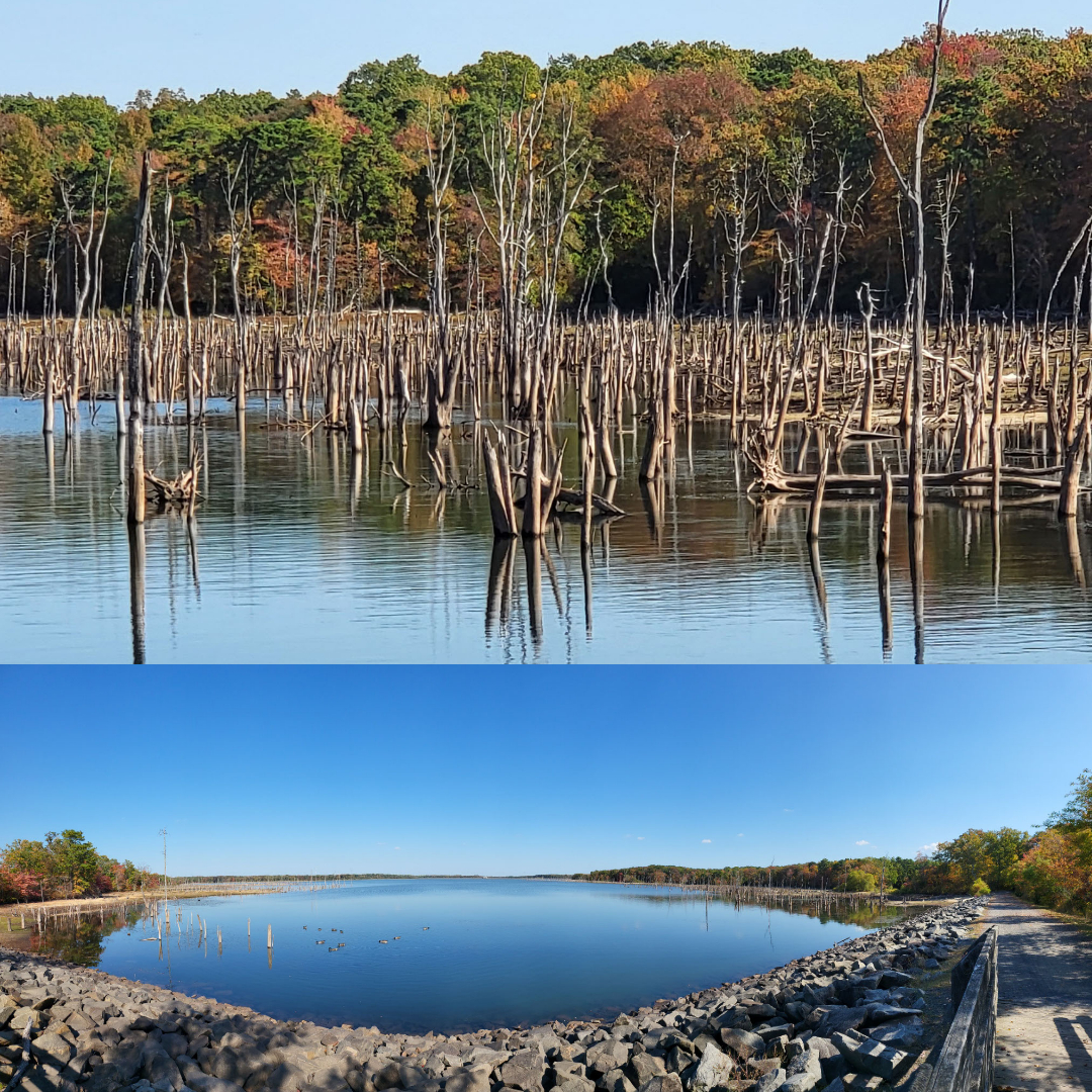 caridad manasquan reservoir new jersey Monmouth county