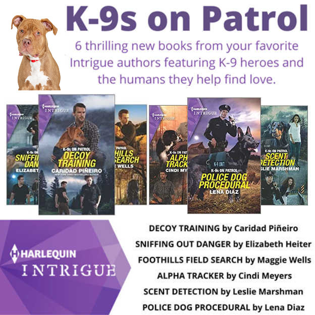 Caridad romantic suspense series
