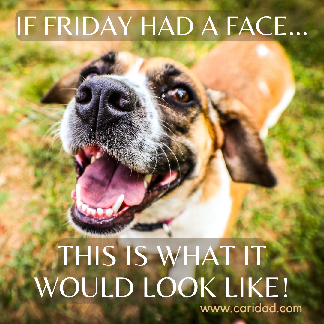 K-9 suspense