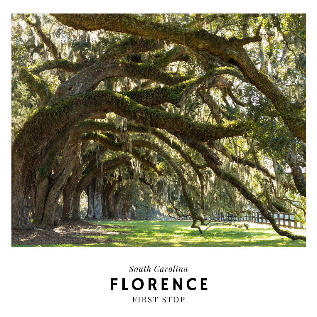 florence south carolina