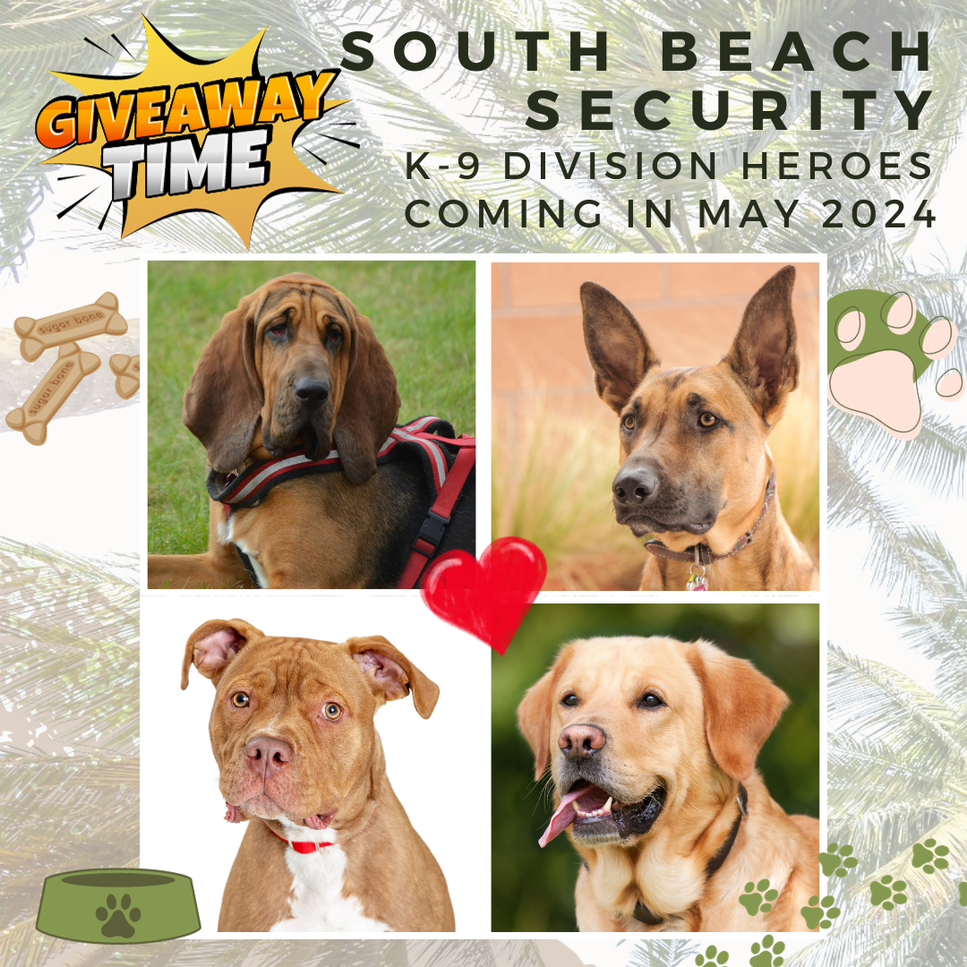 k-9 division spinoff