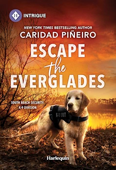 Caridad romantic suspense