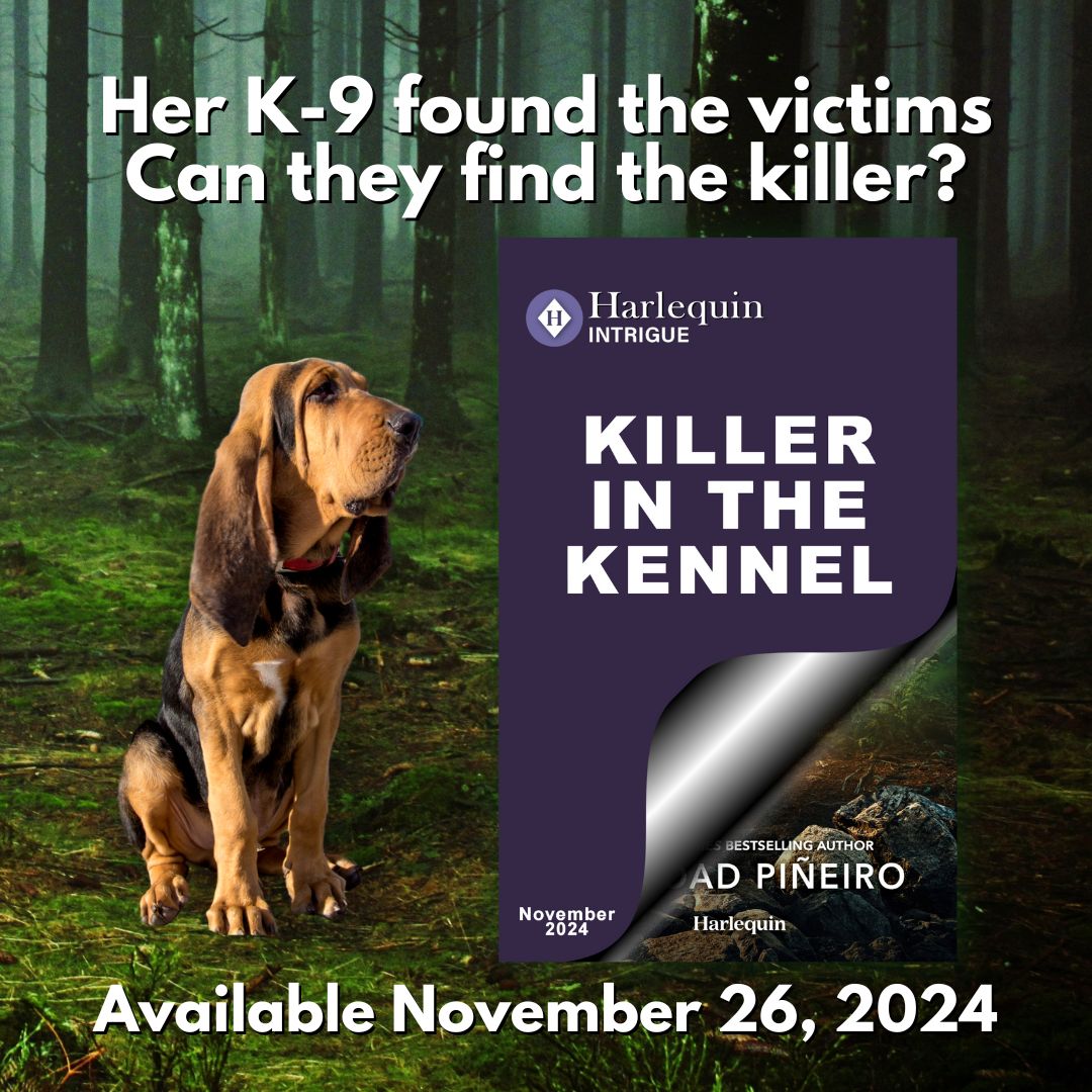 romantic suspense series