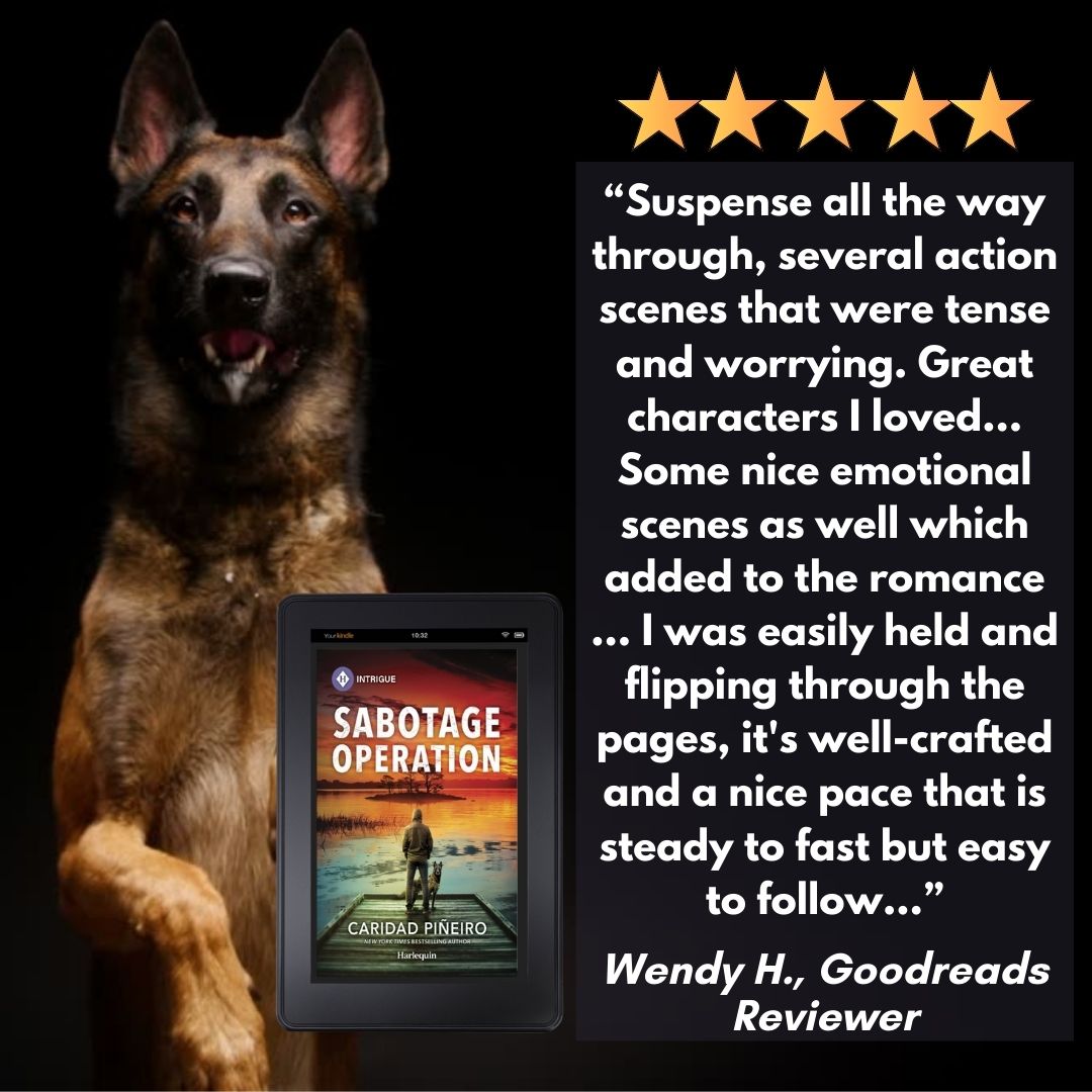 South Beach Security K-9 Division Spinoff
