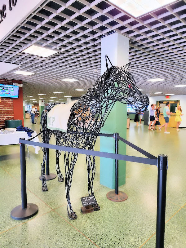 horse racing