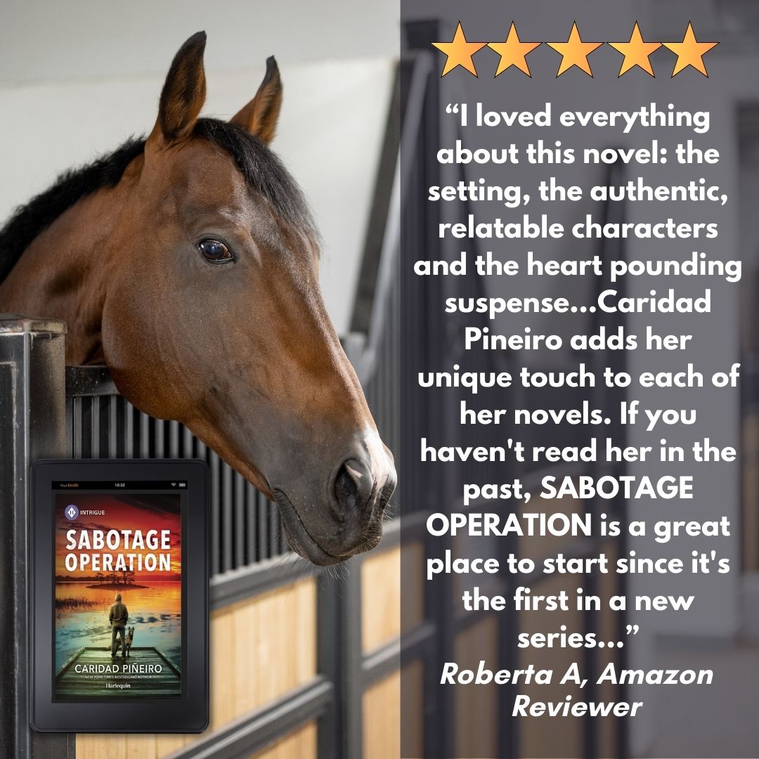 romantic suspense