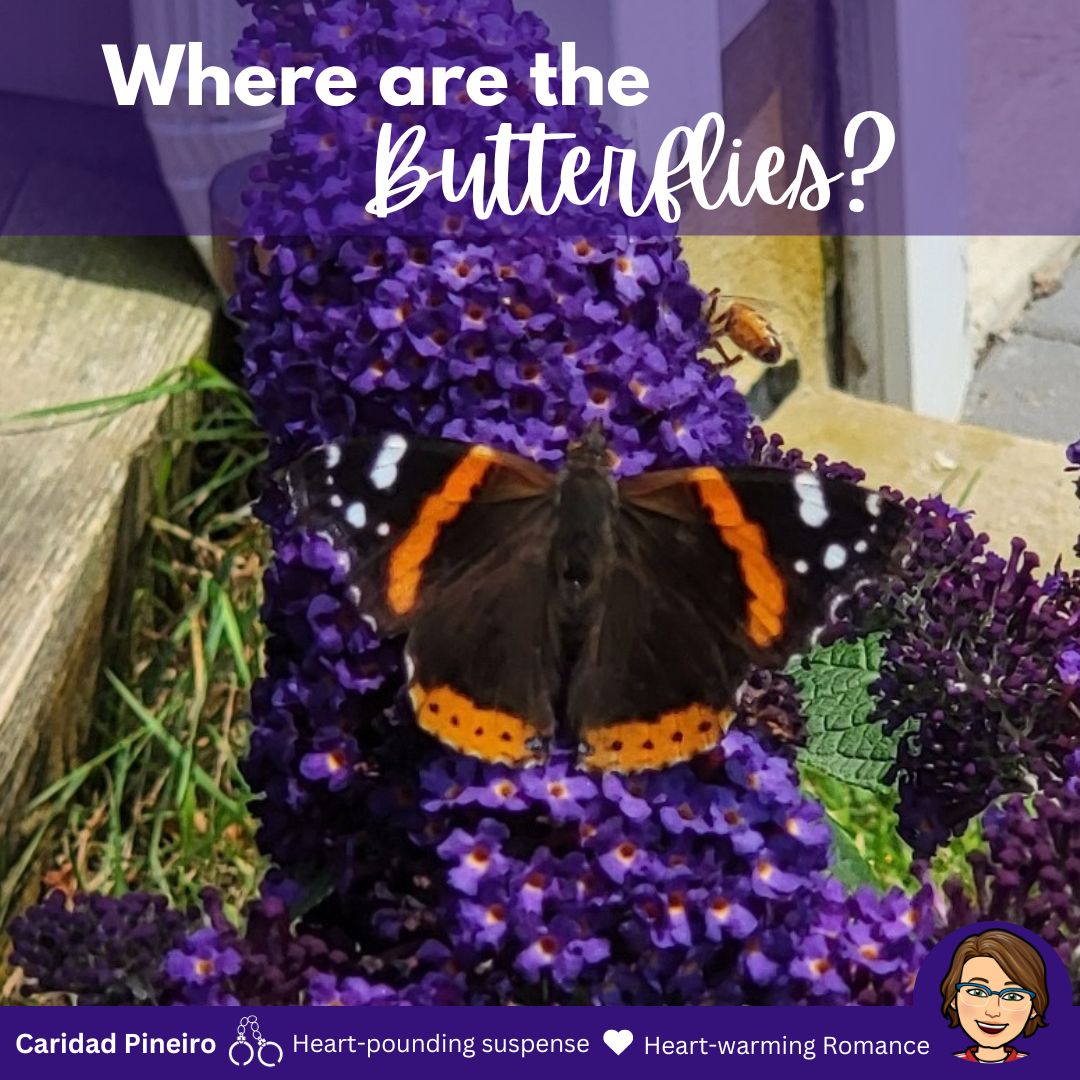 butterflies