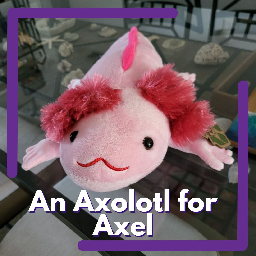 axel axolotl