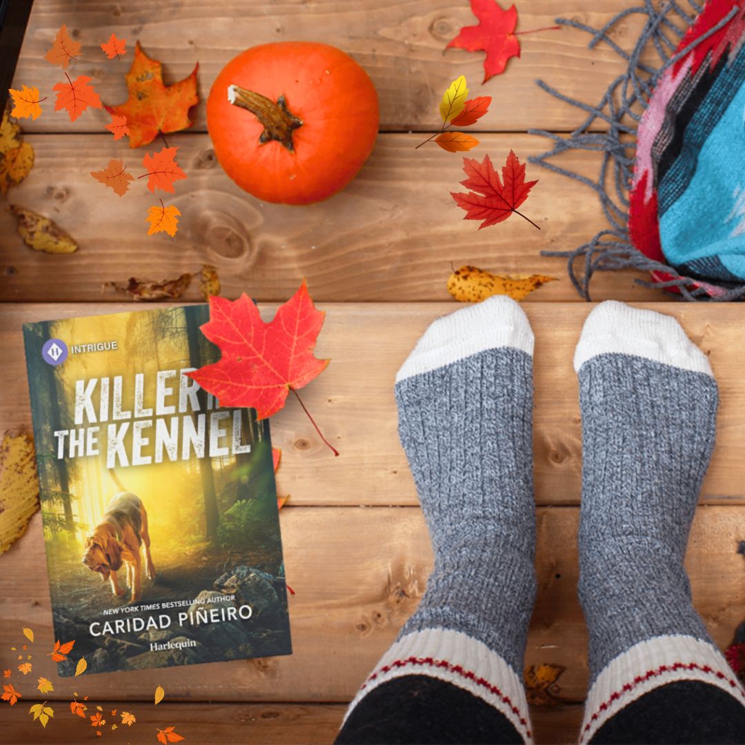 romantic suspense