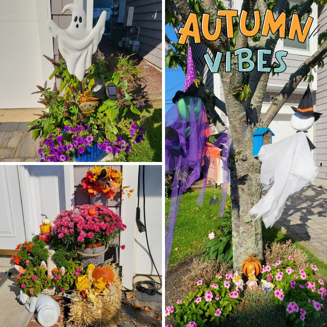 fall vibes