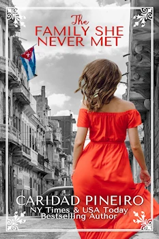 Sourcebooks The Family She Never Met Women's Fiction with Romantic Elements
