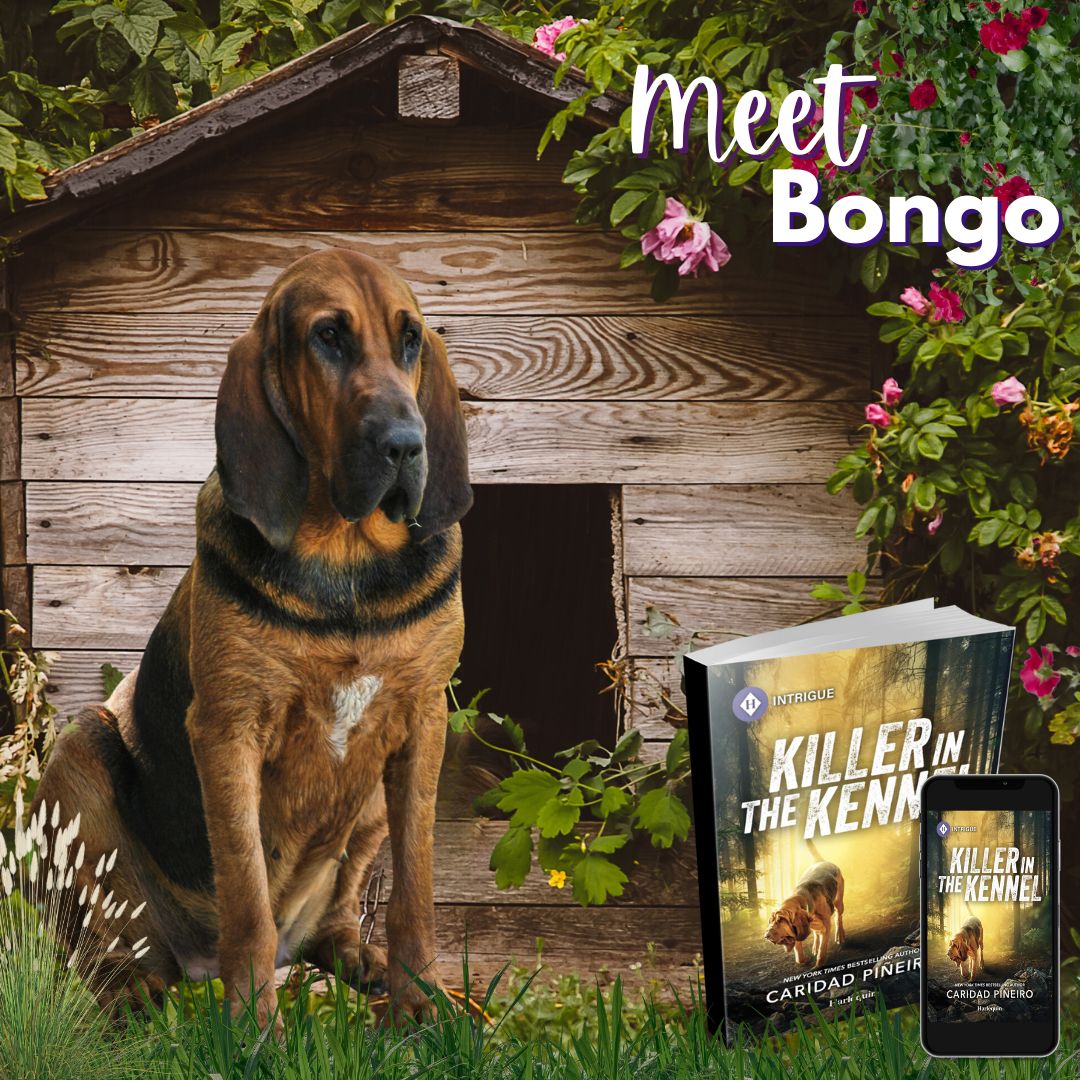 K-9 romance